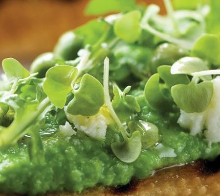 Centrifuged Green Pea Butter Crostini with Arugula and Broken Vinaigrette